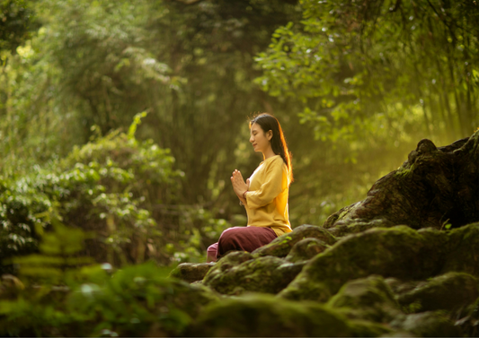 Meditace: Meditace dvou šípů (13 minut)