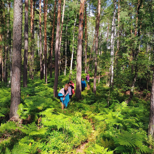 Borůvkové putování v přírodě