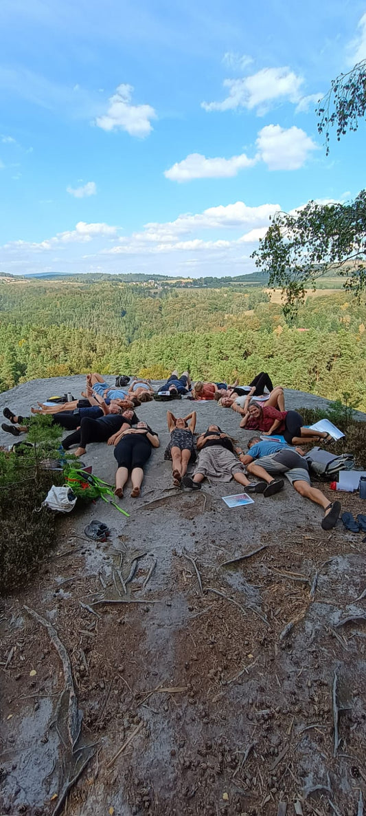 Roční Akademie Mindfulness